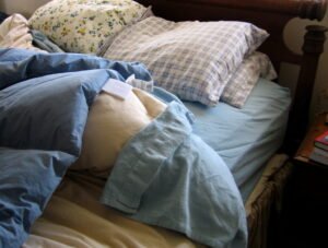Dog resting comfortably, relevant to senior pet quality of life and comfort