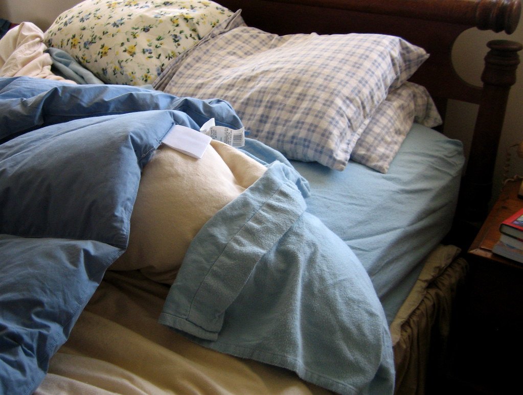 Dog resting comfortably, relevant to senior pet quality of life and comfort