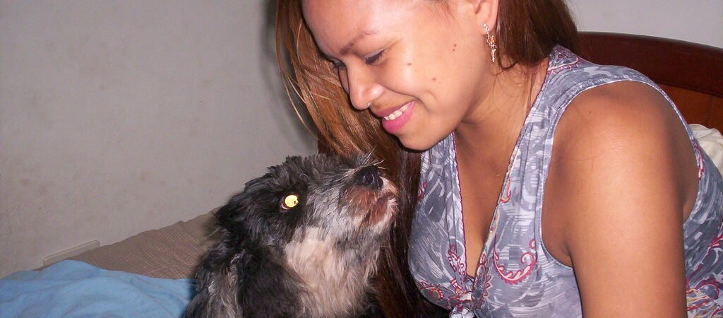 Pet Insurance and Planning for Senior Pet Healthcare Costs