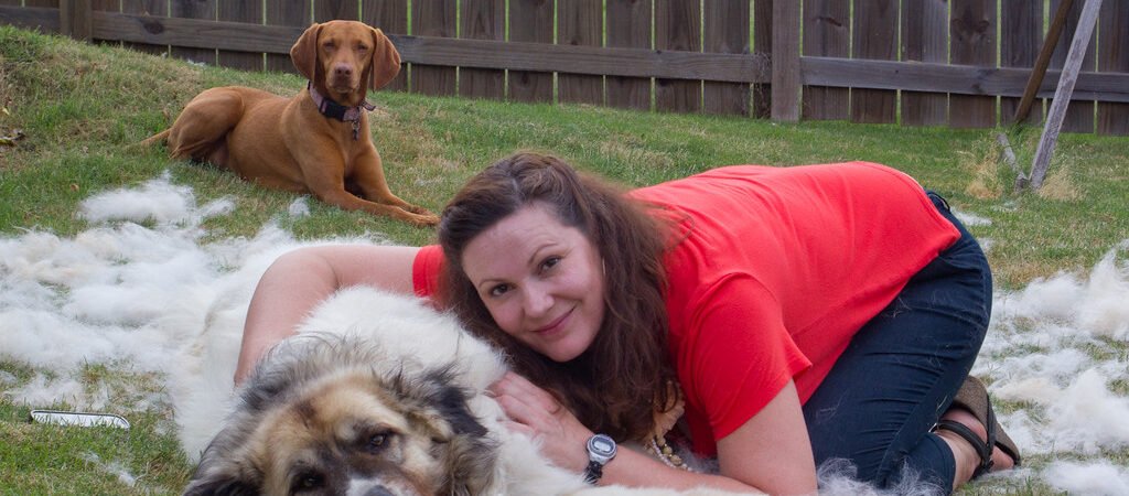 Grooming a Senior Dog With Arthritis or Health Conditions
