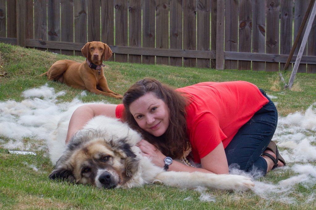 Grooming a Senior Dog With Arthritis or Health Conditions