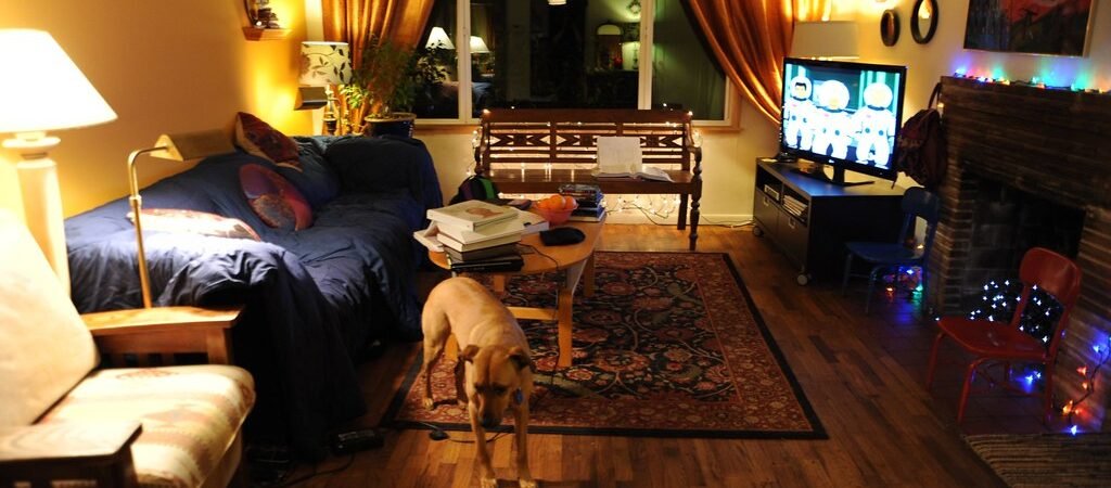 Non-Slip Flooring Solutions for Senior Pets With Mobility Issues