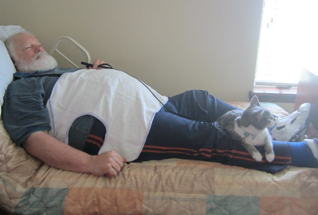 Feline Asthma in Senior Cats: Signs and Long-Term Management
