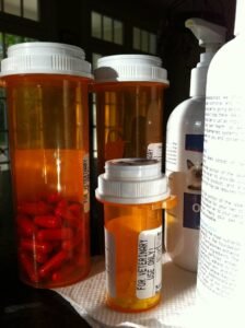 Joint supplements and medication for senior dog care
