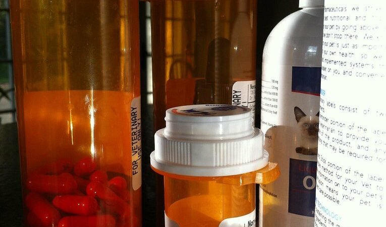 Best Joint Supplements for Senior Dogs, Compared