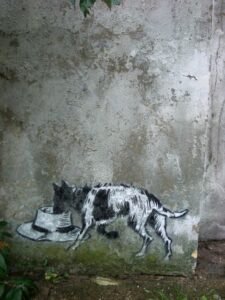 Senior dog eating food, illustrating dietary needs for aging dogs