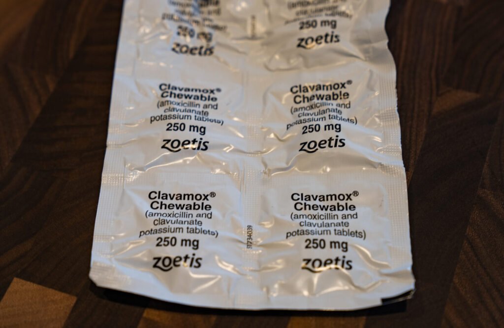 Chewable pet medication tablets, relevant to managing multiple medications in senior pets